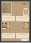 Orthoneis punctatissima (Grev.) Lagerst. (de-Toni-Nr.: Genus 41, Species 1910) Zeichnungen Sammlung Grunow Nr. 3791 (NHMW-BOT-W0371465)